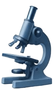 Microscope Image